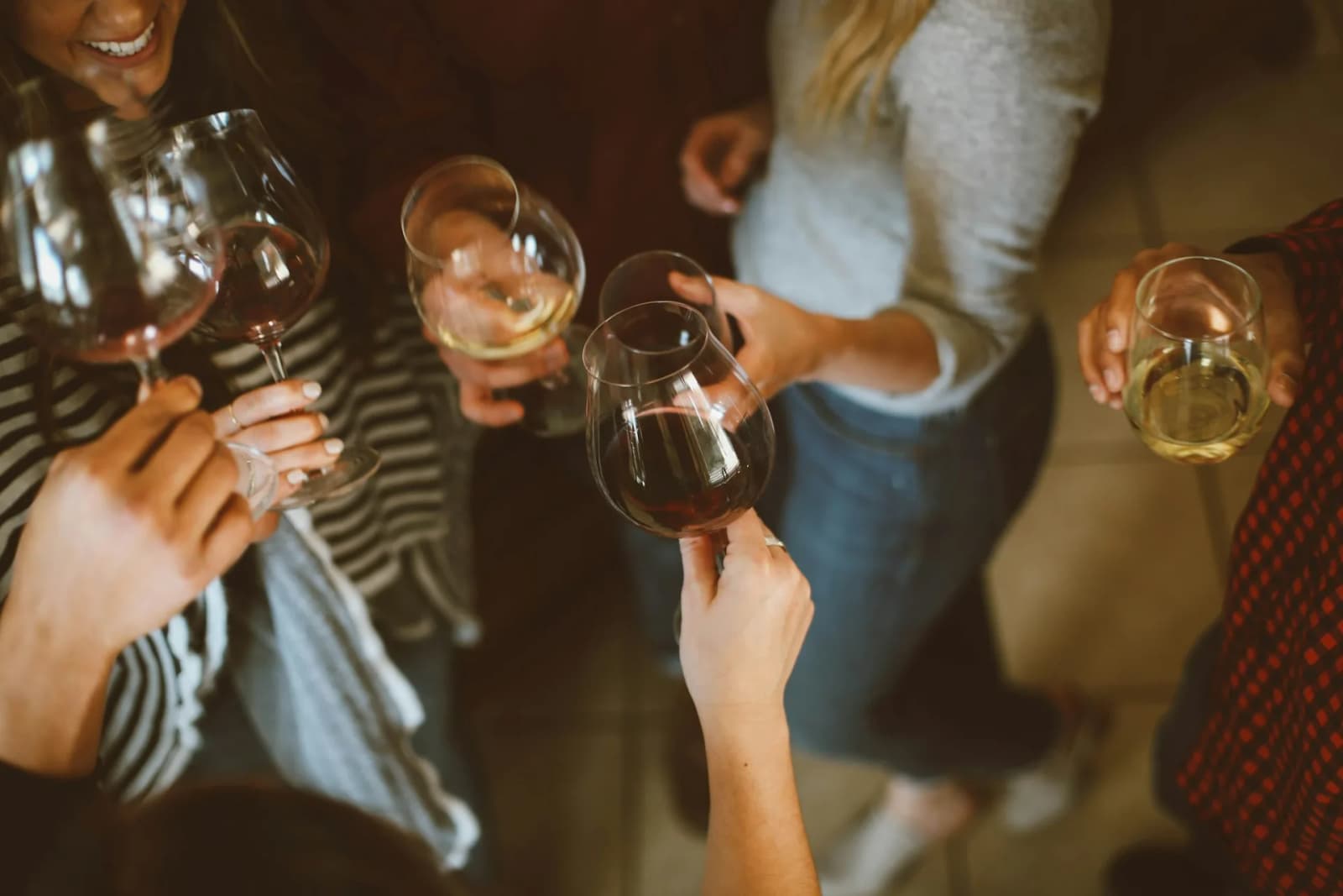 Truffes et vin en Istrie de l'intérieur : un guide pour les gourmets