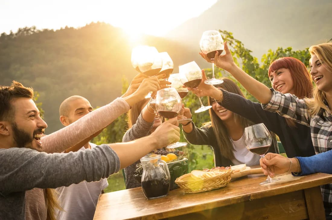 Friends toasting red wine in sunlight