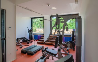 Villa Yellow Tree Jurići - Home & Spa